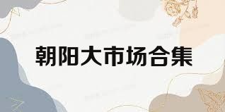 朝阳大市场合集