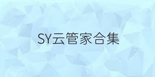 SY云管家合集