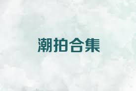 潮拍合集