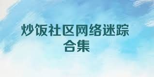 炒饭社区网络迷踪合集