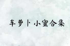 车萝卜小蜜合集