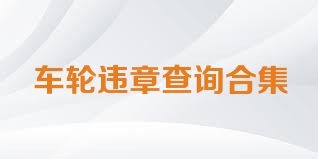 车轮违章查询合集
