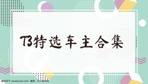 T3特选车主合集