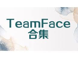 TeamFace合集