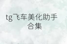 tg飞车美化助手合集
