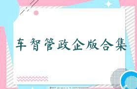 车智管政企版合集