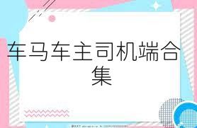 车马车主司机端合集
