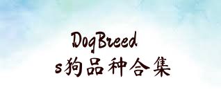 DogBreeds狗品种合集