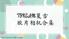 TOKCAM复古胶片相机合集