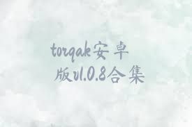 torqak安卓版v1.0.8合集