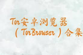 Tor安卓浏览器（TorBrowser）合集