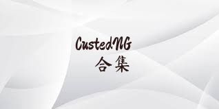 CustedNG合集