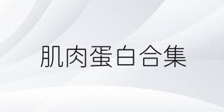 肌肉蛋白合集
