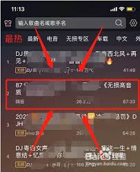 如何下载DJ多多音乐