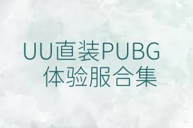 UU直装PUBG体验服合集