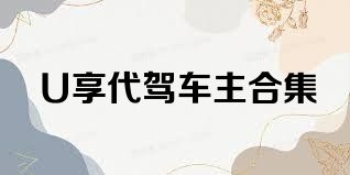 U享代驾车主合集