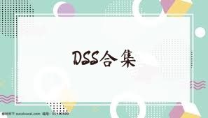DSS合集