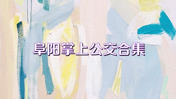 阜阳掌上公交合集