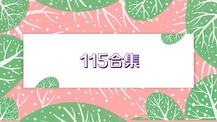 115合集