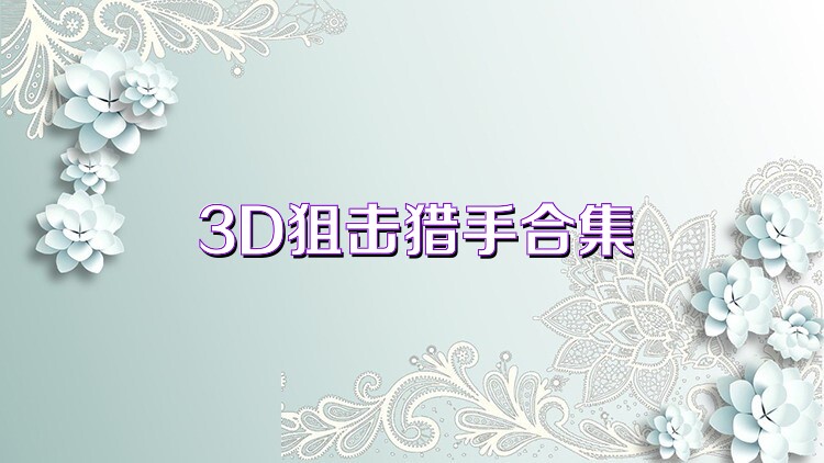 3D狙击猎手合集