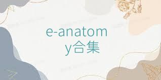 e-anatomy合集
