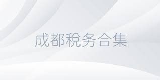 成都税务合集