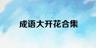 成语大开花合集