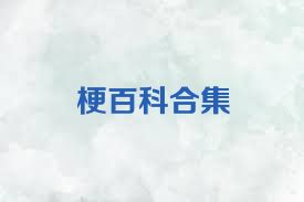 梗百科合集