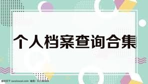 个人档案查询合集