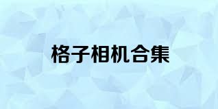 格子相机合集