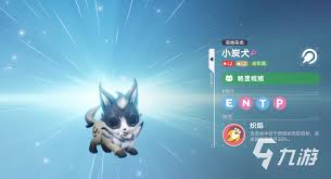 伊莫小炭犬怎么样