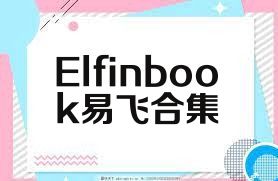 Elfinbook易飞合集