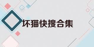 坏猫快搜合集
