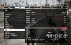 GTAOL所有属性有什么作用