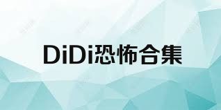 DiDi恐怖合集