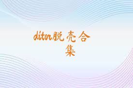 ditor脱壳合集