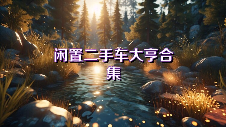 闲置二手车大亨合集