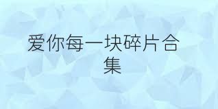 爱你每一块碎片合集