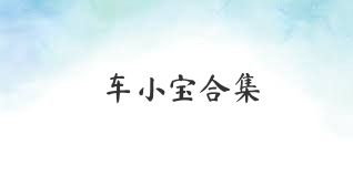 车小宝合集