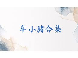 车小猪合集