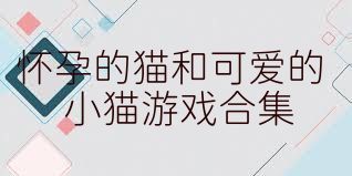 怀孕的猫和可爱的小猫游戏合集