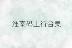 淮南码上行合集