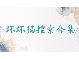坏坏猫搜索合集