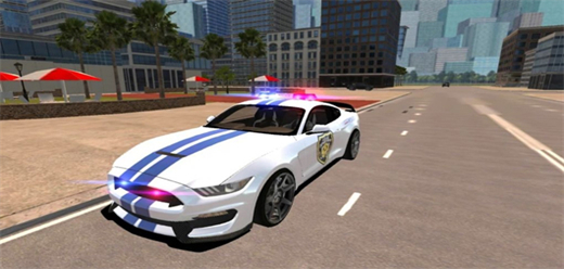 警车模拟驾驶游戏大全