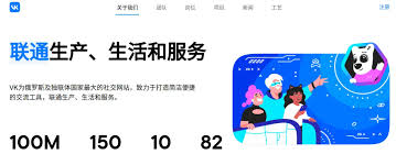 VKontakte常见问题有哪些