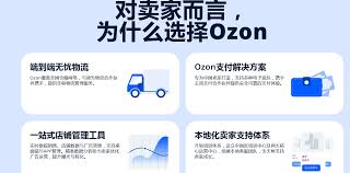 ozon官网怎么登录