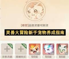 灵兽大冒险如何养成宠物