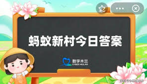 宋代香婆提供什么服务