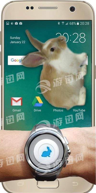 手机屏幕养兔子最新版