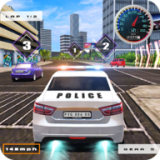 警察与犯罪追捕手机版